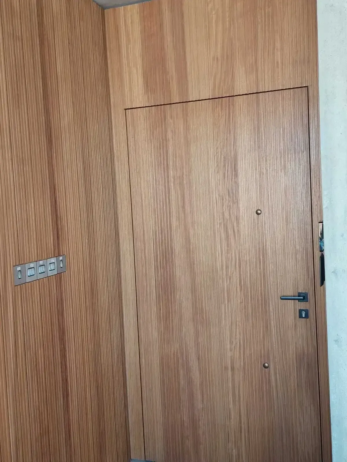 Close-up of the concealed flush door with a slim black handle