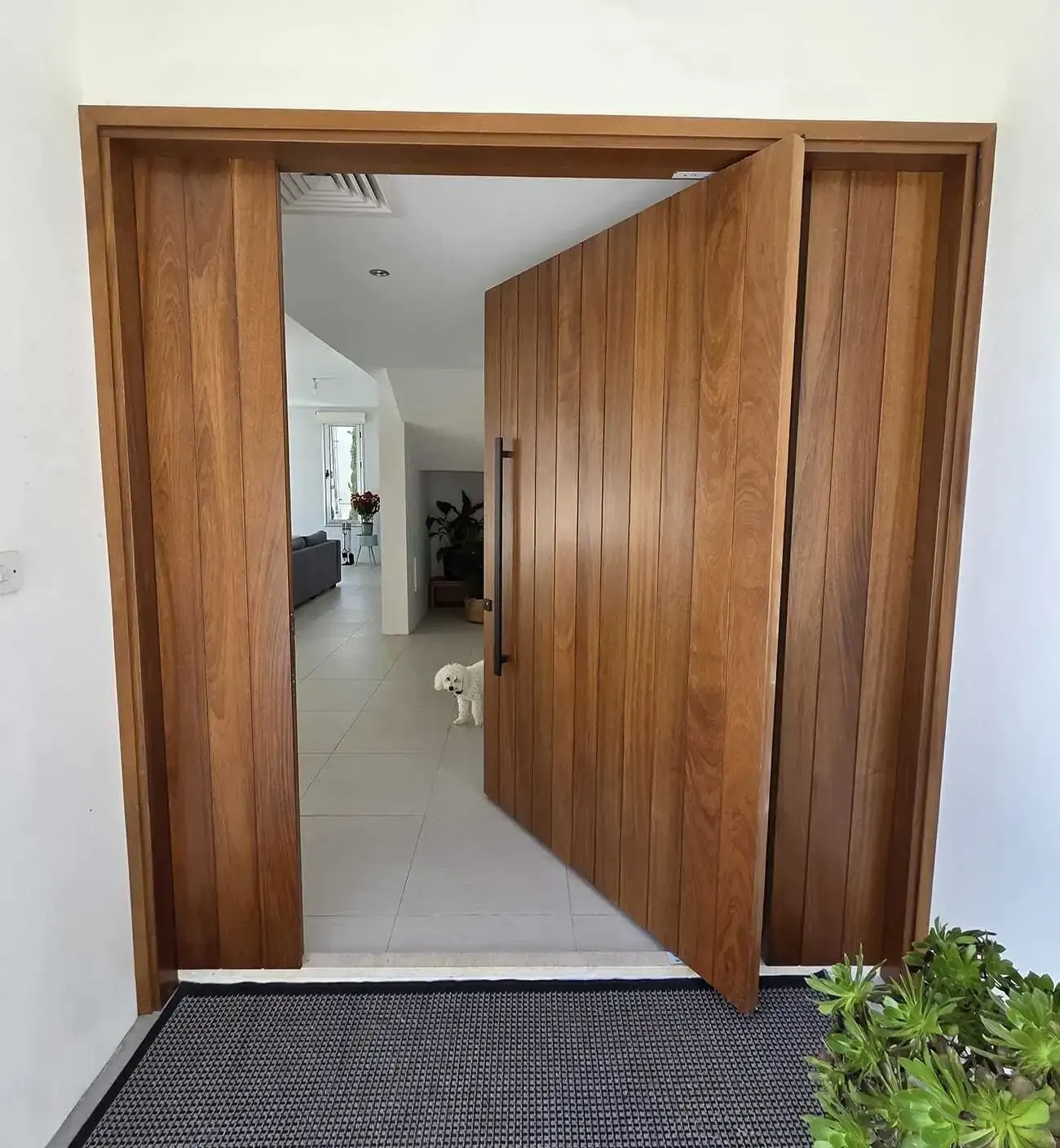 Oversized iroko pivot front door standing open onto a bright hallway